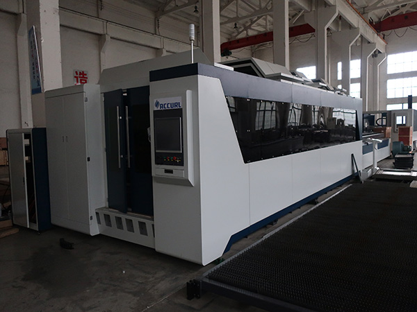 Prezzo basso della macchina di taglio del laser della fibra del metallo di Speedy del basso consumo basso di 1000W 2000W